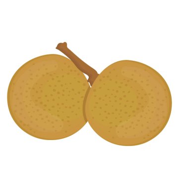 Yuvarlak şekilli meyve birbirleri ile kök tarafından bağlı bir çift kavun