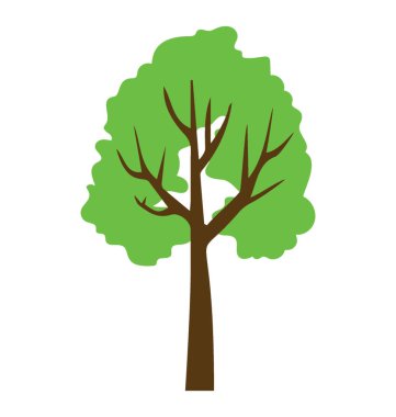 Basswood ağaç simgesiyle ifade eden nektar dolu olan ağaç yapraklar  
