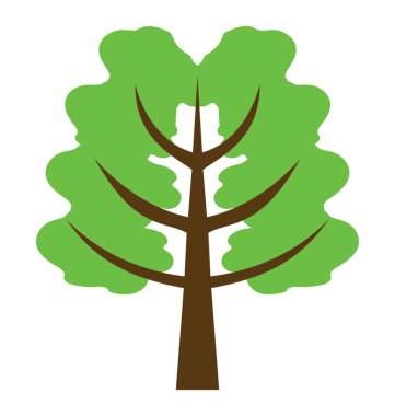 Botanik fındık ağacı, ceviz ağacı simgesini