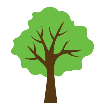 Güneşli basswood ağacı ya da kokusuz 