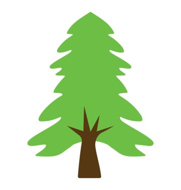 Kabarık genç şube köknar ağacı, iğne yapraklı ağaç 