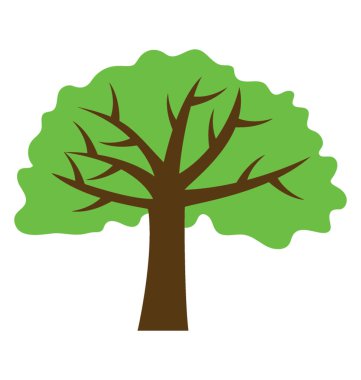 Gölgeli akasya ağacı yaygın yayıldı