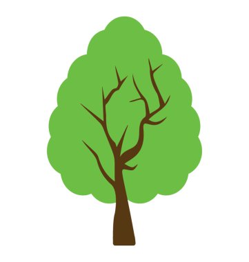 Adı Afgan çam ağacıyla tatlı