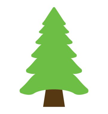 Kabarık genç şube köknar ağacı, iğne yapraklı ağaç 