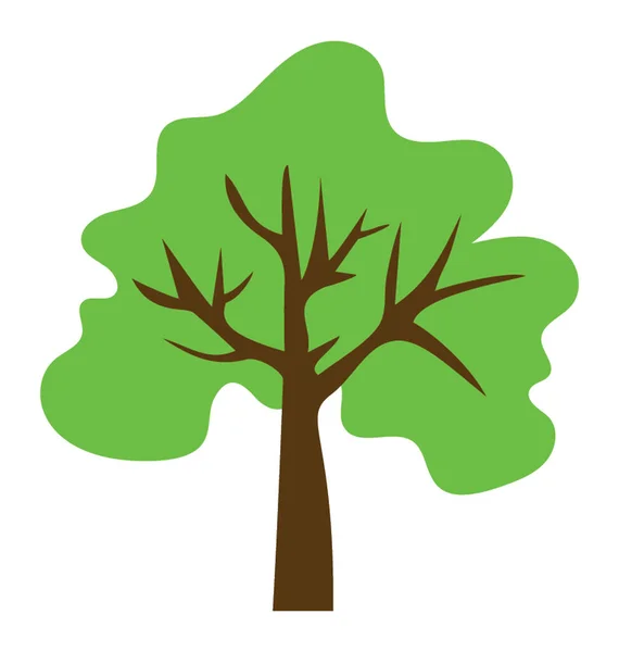 Дерево Которое Выращивает Мелкие Круглые Фрукты Сахарную Ягоду — стоковый вектор