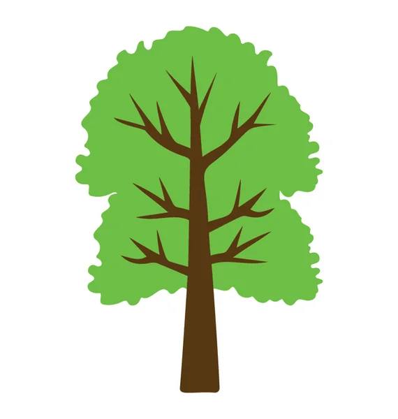 Cimmaron 一棵有光泽的绿色树荫 — 图库矢量图片