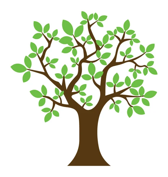 Árbol Que Pertenece Familia Playa Estructurado Icono Roble — Vector de stock