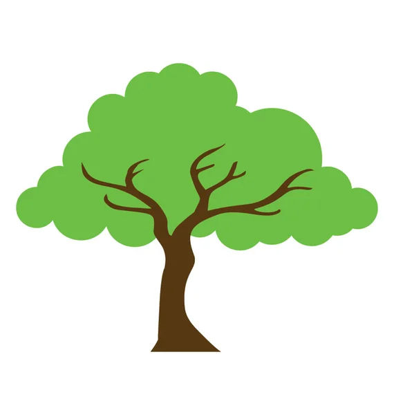 Bir Yeşil Yeşillik Gölgeli Ağaç Çınar Ağacı Simgesini — Stok Vektör