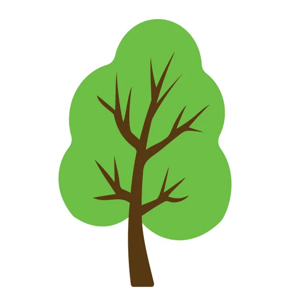 Ταχέως Αναπτυσσόμενη Δέντρο Λεύκας Cottonwood Εικόνα Διάνυσμα — Διανυσματικό Αρχείο