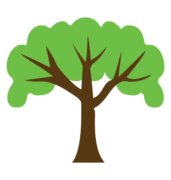 Kayın Ağacı Izole Ormancılık Düz Simgesi — Stok Vektör
