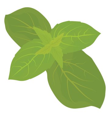 Kuzu marul ikonu dikdörtgen biçimli yaprakları ile damarlar içinde tarafından 