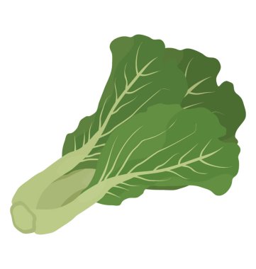 Tarõmõn sebze yaprakları ile grup ve collard yeşil sebze simgesi vitrine biter pedicels bağlı 