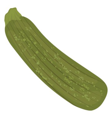 Kabak simgesi sürükleyici kaba cilt katmanlarla yeşil renkli uzun sebze
