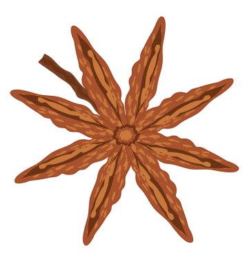 Kahverengi renkli Çin baharat anasonu bir çiçek sekiz sivri uçlu yıldız şekli tarafından gösterilir 