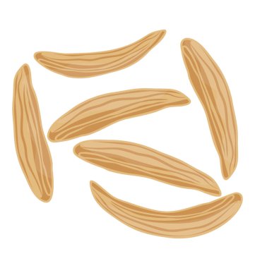 Uzun şekilli Güney Asya Yaş sebze bauhinia variegata kutsal kişilerin resmi içinde yer