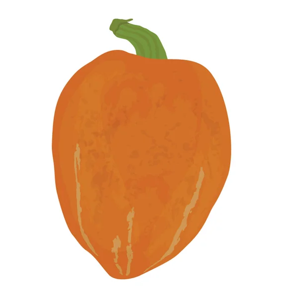 Ovate Orange Shape Green Pedicel Hubbard Squash Icon - Stok Vektor