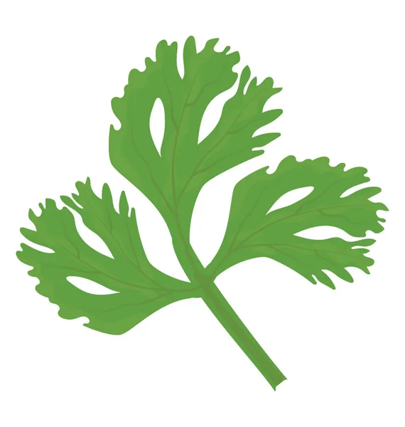 つの緑豊かな野菜の分岐を示すグラフィック Varian 形で穴 コリアンダー アイコンの概念と — ストックベクタ