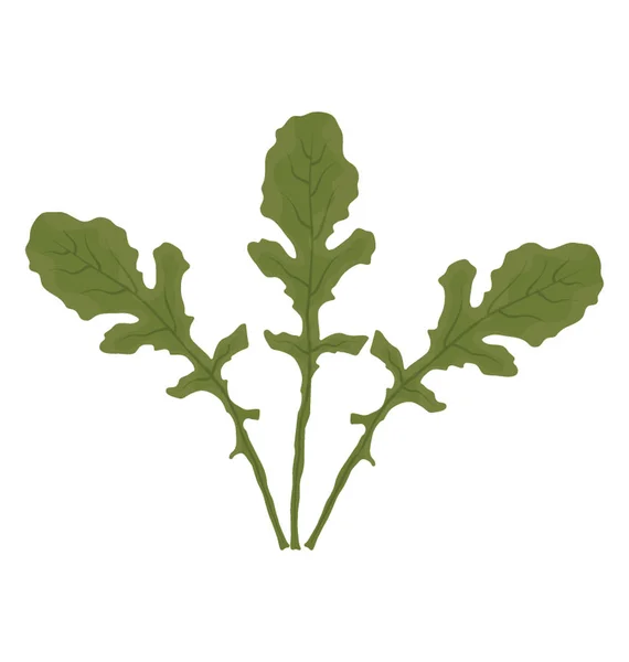 Verdura Con Foglie Verdi Spatolate Forma Icona Rucola — Vettoriale Stock