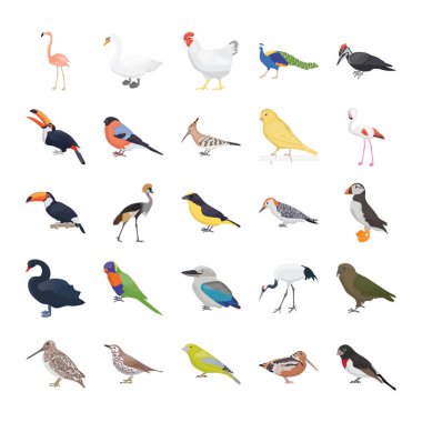 Birds Flat Vector Icons Pack  clipart