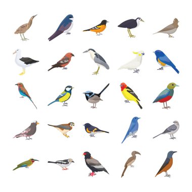 Birds Flat Vector Icons Set  clipart