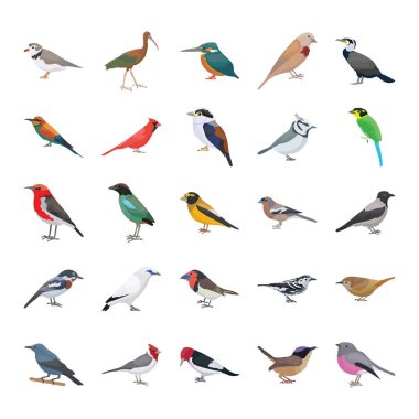 Birds Flat Vector Icons Collection  clipart