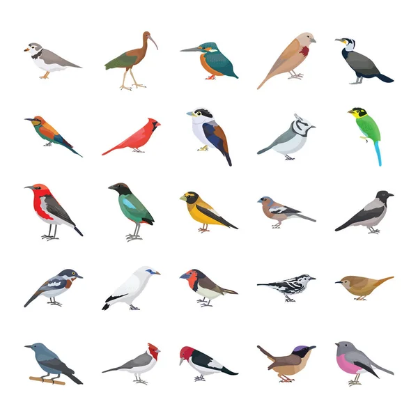 Vögel Flache Vektorsymbole Sammlung — Stockvektor