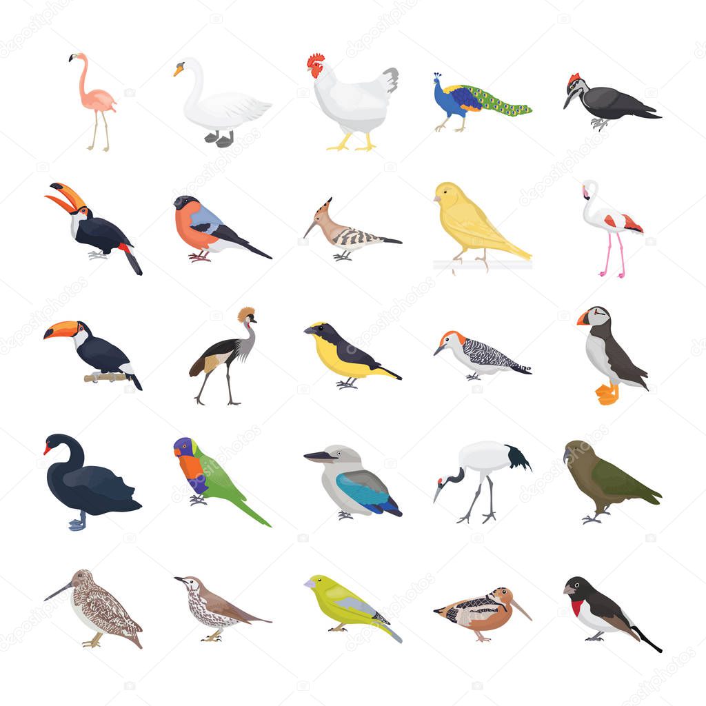 Birds Flat Vector Icons Pack 