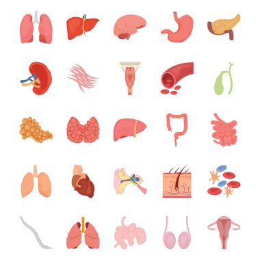 Internal Human Organs Flat Icons  clipart