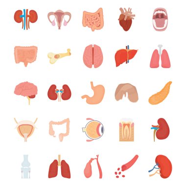 Internal Human Organs Icons clipart