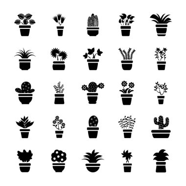 Houseplants glif vektör simgeler 