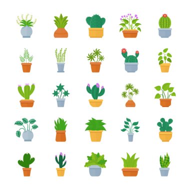 Houseplants düz vektör Icon Set 