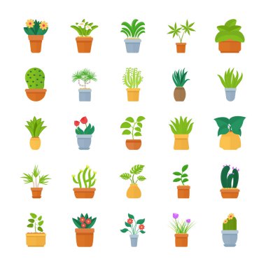 Houseplants düz vektör Icon Collection 