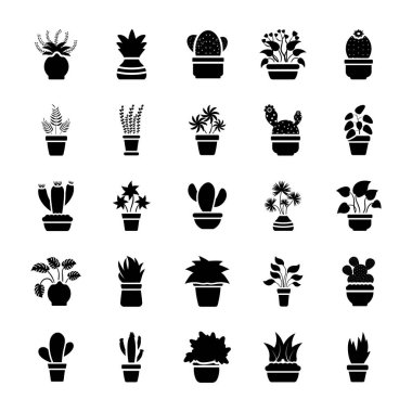 Houseplants glif vektör Icon Set 
