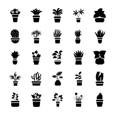 Houseplants glif vektör Icon Collection 