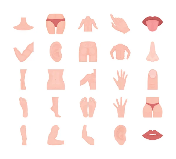 Body Parts Flat Icon Pack — Stock Vector