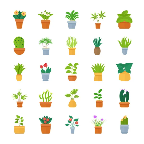 Houseplants Düz Vektör Icon Collection — Stok Vektör