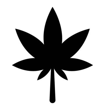 Beyaz arkaplanda marihuana yaprağı