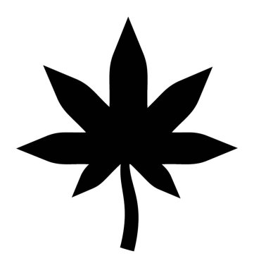 Beyaz arkaplanda marihuana yaprağı