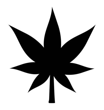 Beyaz arkaplanda marihuana yaprağı