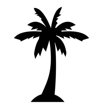 Meyve taşıyan Hindistan cevizi ağacı