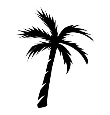 Bir önemli ağaç desen tropic palmiye