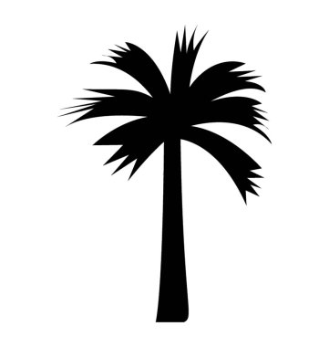 Bir önemli ağaç desen tropic palmiye