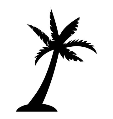 Meyve taşıyan Hindistan cevizi ağacı