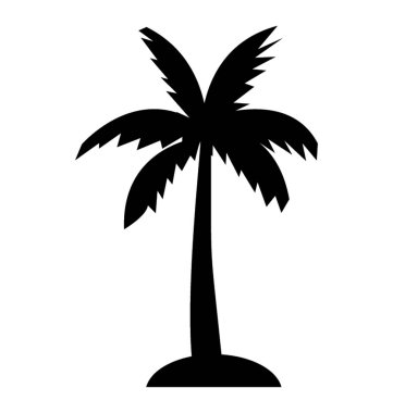 Meyve taşıyan Hindistan cevizi ağacı