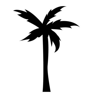 Dekoratif kayın ağacı