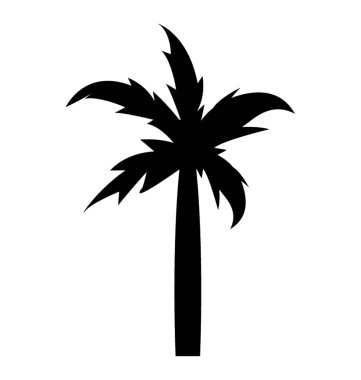 Dekoratif kayın ağacı