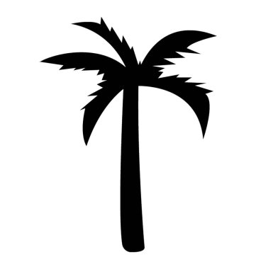 Dekoratif kayın ağacı