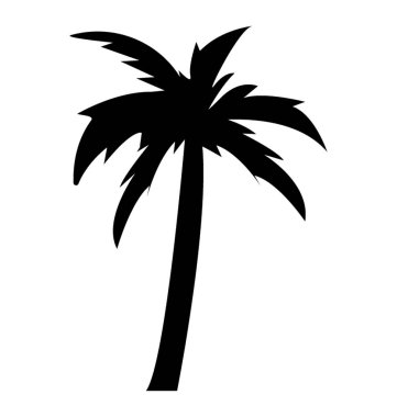 Dekoratif kayın ağacı