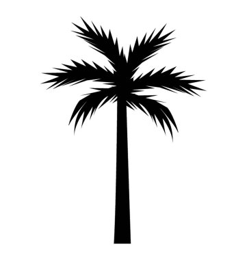 Sıcak havalarda yetiştirilen gölgeli tropik ağaç