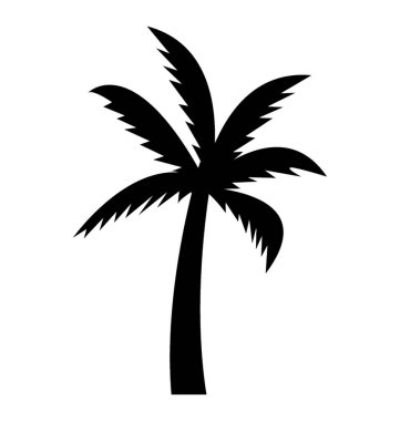 Dekoratif kayın ağacı